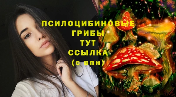MDMA Premium VHQ Арсеньев