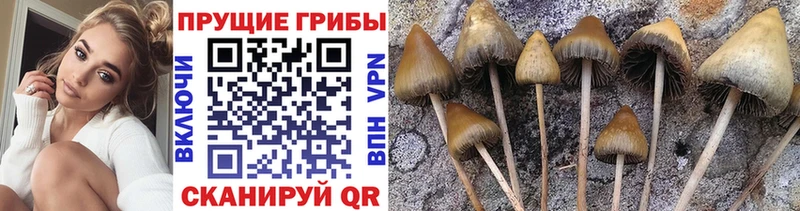 Псилоцибиновые грибы MAGIC MUSHROOMS  Купить  Нижняя Салда 