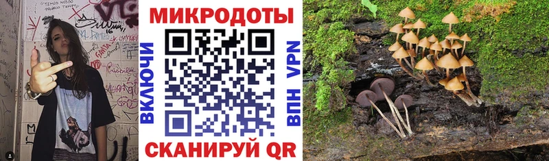 Псилоцибиновые грибы Magic Shrooms Нижняя Салда
